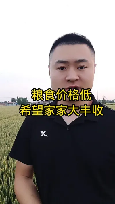 #病虫害防治#肥料#小麦管理#农民种地不容易#抖音助农@抖音小助手