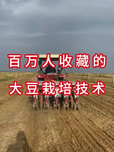 祝您2025年丰收！ #三农流量扶持计划 #大豆种植 #抖音助农 #大豆种植 #农业植保知识分享