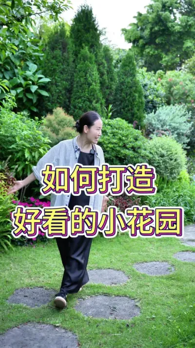 如何打造好看的小公园？#小公园走一走 #养花小知识 #养花人的执着 #养花人的乐趣只有养花人懂 #花卉绿植