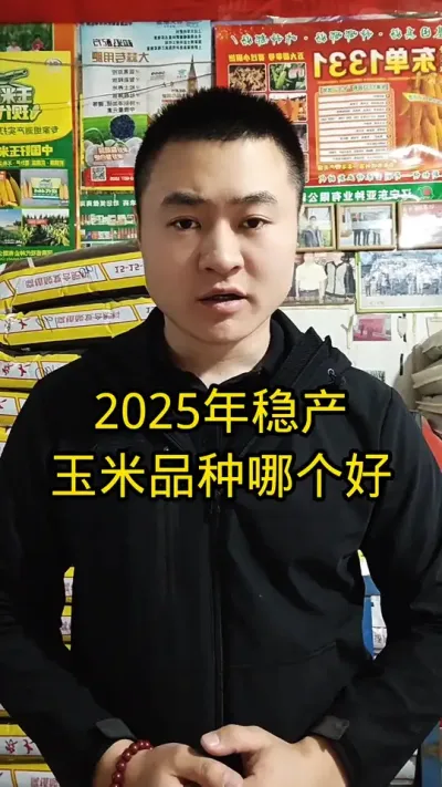 #高产稳产玉米种子#肥料#抖音助农#