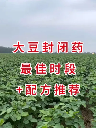 封闭药啥时候打？记住这个时间点一季不长草 #三农流量扶持计划 #抖音助农 #农业种植 #大豆种植 #农业植保知识分享