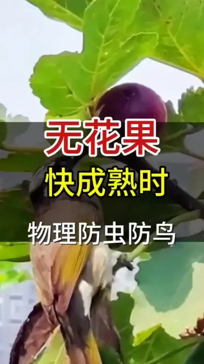 ޻ʱ#޻