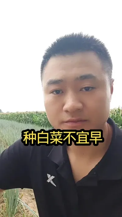 种大白菜的时间不宜早#农业种植 #抖音农业 #病虫害防治#关注我每天分享农业知识#肥料