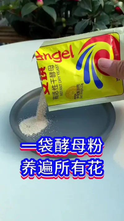 一代酵母粉，养遍所有花#爱生活爱养花 #养花我是认真的 #花卉绿植