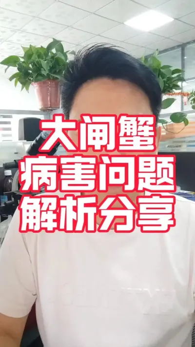 大闸蟹病害问题分类解析#大闸蟹养殖 #河蟹养殖#螃蟹养殖#大闸蟹#水产养殖