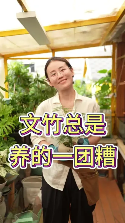 文竹总是养的一团糟#文竹#文竹盆栽 #养花小知识 #养花人的乐趣 #花卉绿植