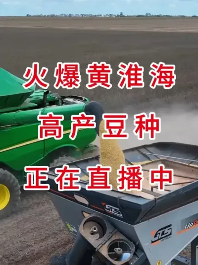 人气高产豆种正在直播中 #直播中 #直播预约 #三农流量扶持计划 #大豆种植 #抖音助农