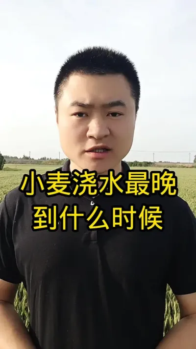#服务三农支持三农 #农业知识帮农民增产增收 #抖音助农 #肥料#小麦管理