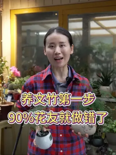 养文竹第一步，90%花友就做错了#文竹 #文竹盆栽 #文竹怎么养 #花卉绿植 #养花小知识