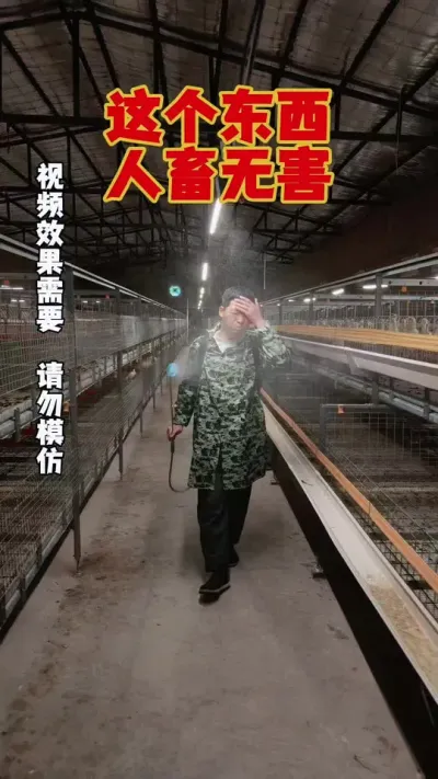 养鹅多长时间消一次毒？用什么消才好？#养鹅 #鹅苗 #狮头鹅 #养鹅技术 #养鹅人
