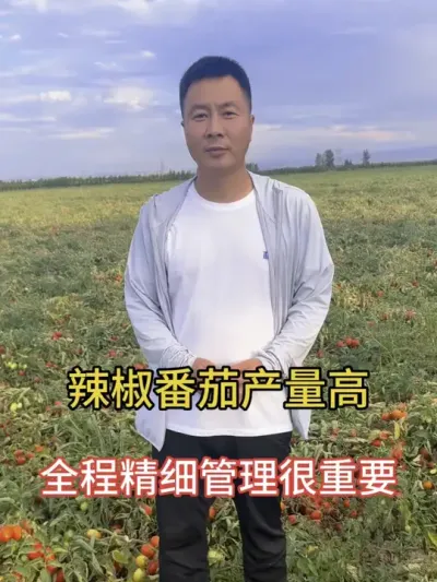 辣椒番茄怎么管理才高产，关注主播好知道#种植小技巧 #农业种植技术 #抖音助农扶农 #助力三农 #三农