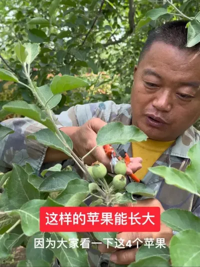 #新农人计划2025 #这就是村里的劳动节 #果树管理 #果树种植 #病虫害防治