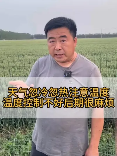 #三农 #养鹅技术分享