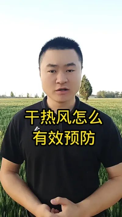 #病虫害防治#抖音助农#小麦管理#农业知识分享服务三农 #服务三农支持三农 #肥料