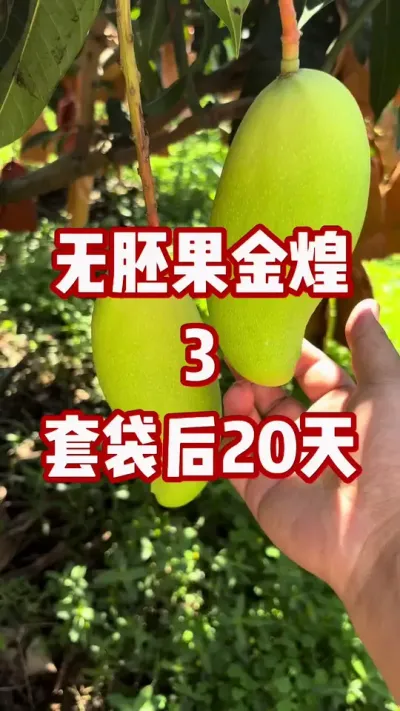 ߹ͻط3---Ӷ״20תɫ # #â