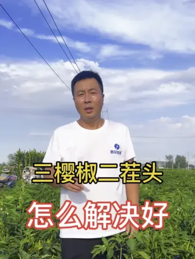 三樱椒二遍椒怎么管理好#辣椒种植 #每天分享种植农业小知识 #三农流量扶持计划 #抖音助农扶农 #种植小技巧