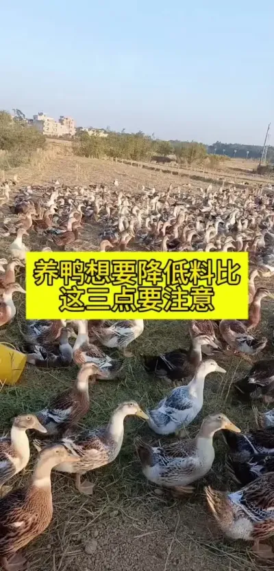 #Ѽշ #ѧѼ #Ѽ #Ѽ̼ƻ #Ѽ