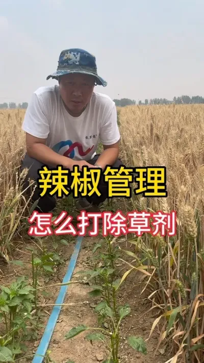 ôݼ徲#ݪֲ # #ũ #ũ