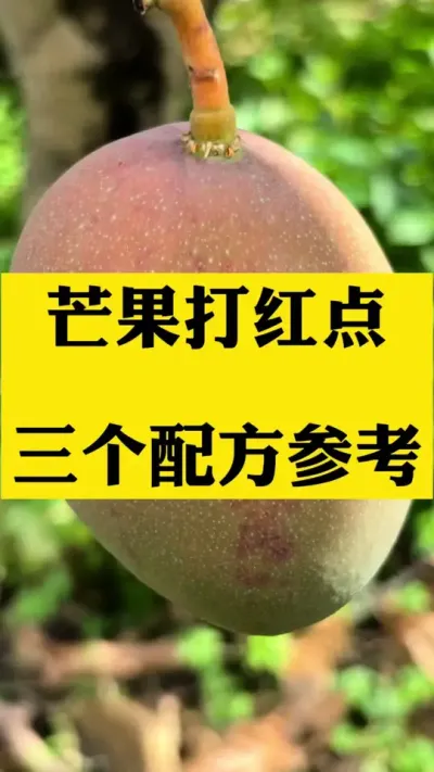 꼾Ƶâ䷽ʹ #ݪֲ #̿Ҳ#㲡