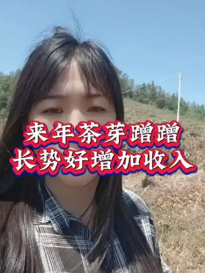#茶树种植技术与管理 #茶树管理 #茶人茶事茶生活 #助力三农