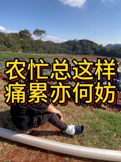 说多了都是泪#农业种植 #农忙 #三农 #农技推广 #新农人计划2025