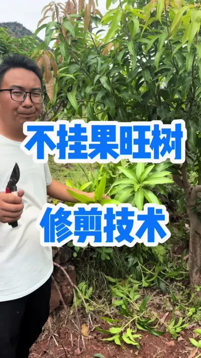 ҹ޼ #޼ #޼ #