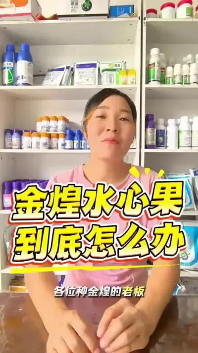金煌芒水心果多，怎么办？ #大力丹#优必康集成技术 #水心果