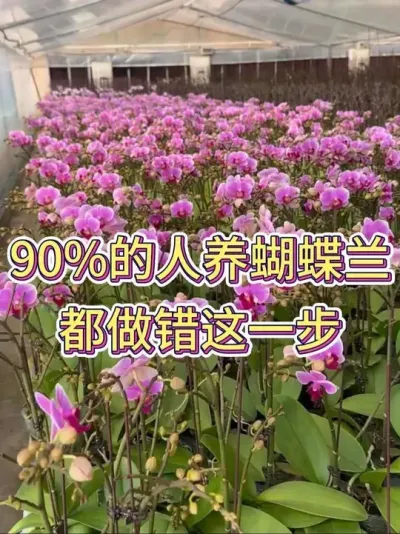 90%һ# # #ֲ #С֪ʶ #˵Ȥ
