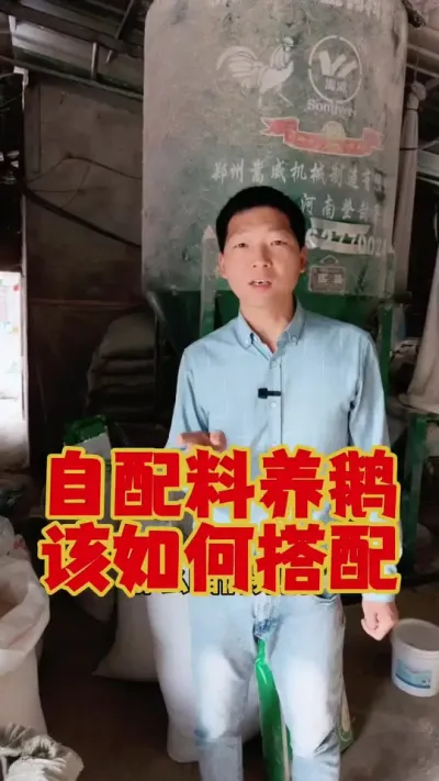自配料喂鹅，都要喂啥？该如何搭配？#养鹅 #鹅苗 #养鹅技术 #狮头鹅 #养鹅人