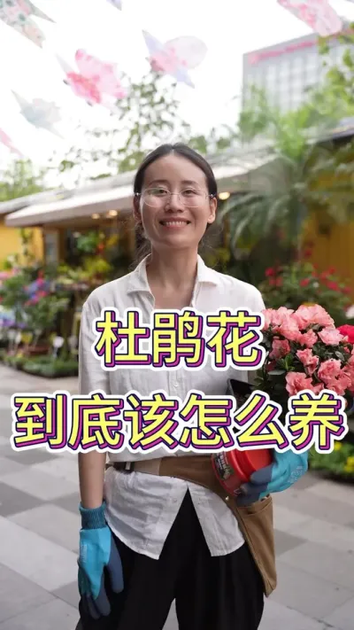 杜鹃花到底该怎么养？#花卉绿植 #养花小知识 #花的世界很美 #花卉绿植盆栽 #杜娟花