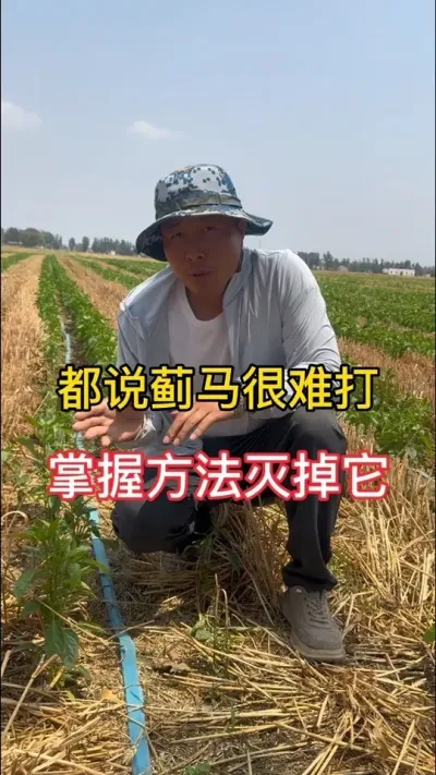 ѴһҪ㶨# #ݪֲ #溦 #ũ #ũũ
