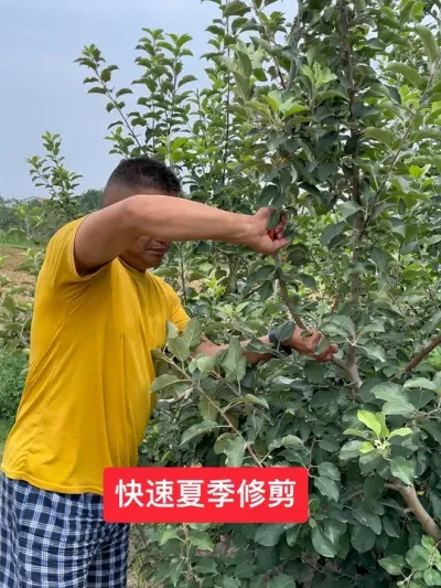 #ũ2025 #溦# #ݪֲ #޼