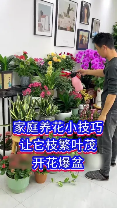 家庭养花小技巧#爱生活爱养花 #养花小知识 #养花我是认真的