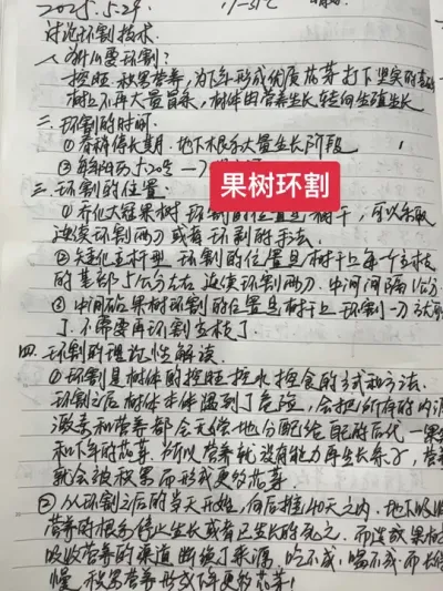 #ũ2025 #ũҵƹ #溦