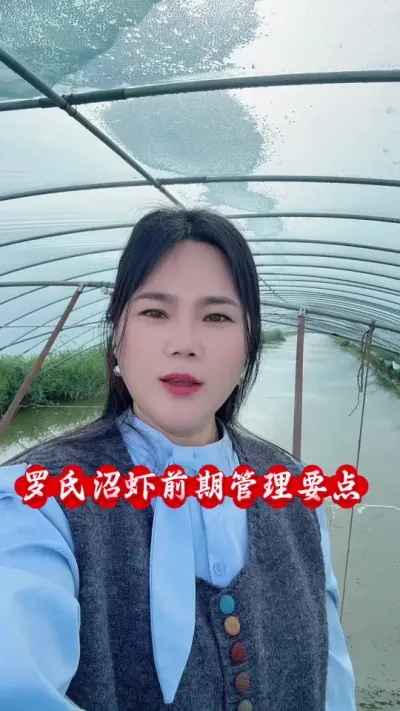 养罗氏沼虾前期的管理工作 #南美白对虾养殖 #青虾养殖#罗氏沼虾养殖