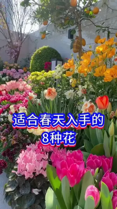 ʺϴֵ8ֻ#ֲ #С֪ʶ #˵Ȥ