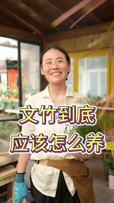 文竹到底应该怎么养？#养护小知识 #养花人的乐趣 #养花我是认真的 #文竹#文竹怎么养