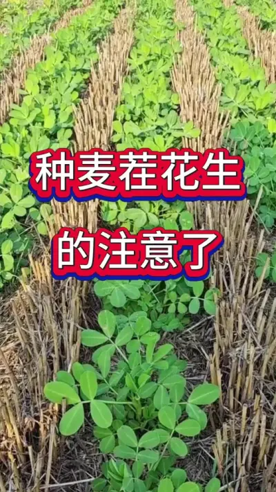 绨ע#ݪֲ #߲ #ֻ #ݪֲ #߲ݪֲ