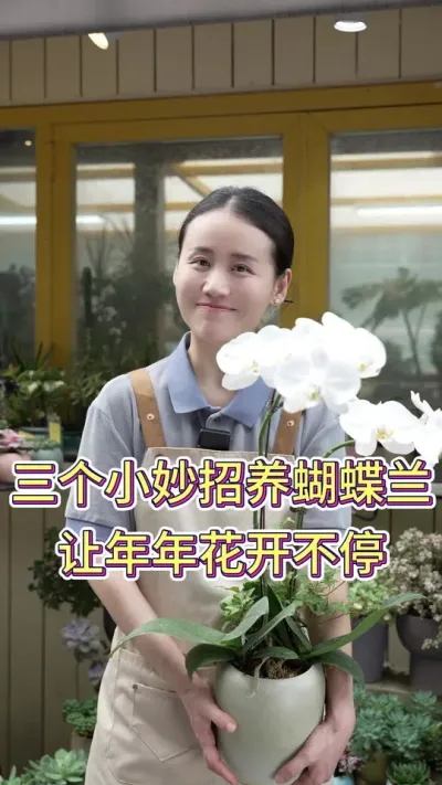 三个小妙招养蝴蝶兰，让年年开花不停#养花人的乐趣 #养花小知识 #蝴蝶兰养护 #蝴蝶兰 #花卉绿植