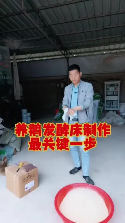 养鹅发酵床制作，最重要的一步，这就算成了！#养鹅 #发酵床#养鹅技术 #鹅苗 #养鹅人 #狮头鹅