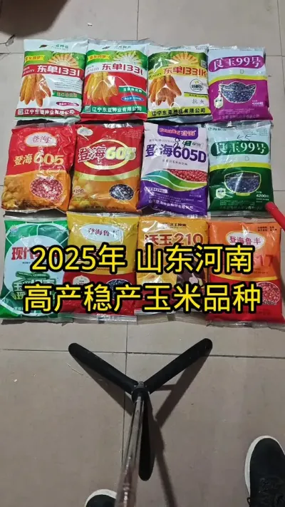 #抖音助农 #肥料 #关注我每天分享农业知识 #高产玉米种子