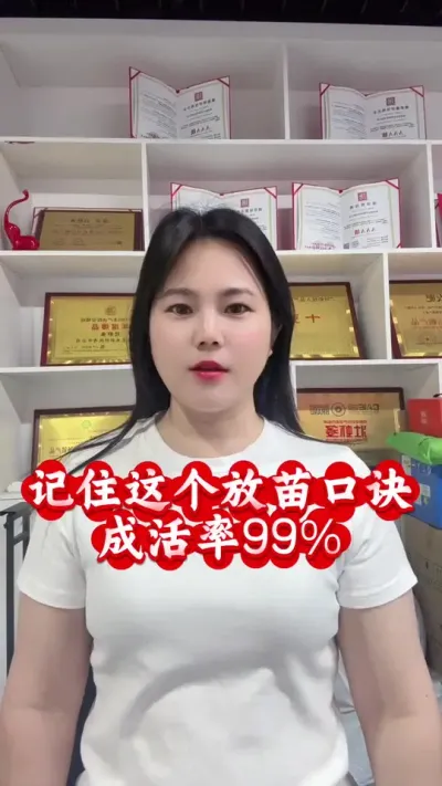 养虾高手不会告诉你的放苗口诀#南美白对虾养殖 #罗氏沼虾养殖 #青虾养殖