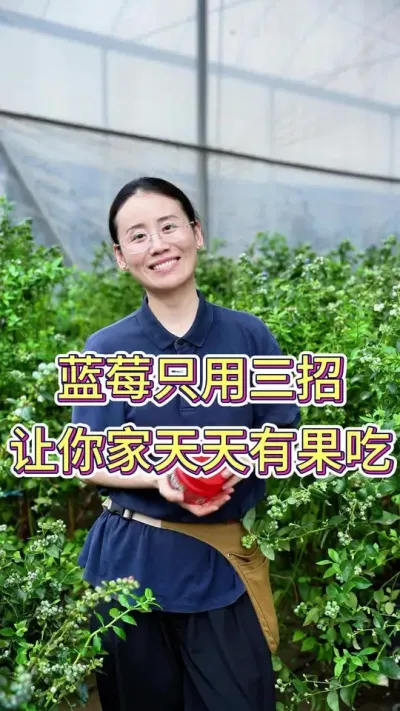 蓝莓只用三招，让你家天天有果吃#蓝莓种植 #蓝莓熟了 #养花小知识 #养花人的乐趣 #花卉绿植