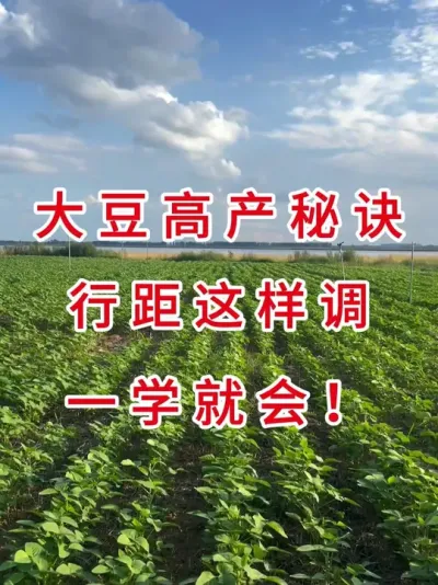 大豆种植必看！行距不对再忙也白费 #三农流量扶持计划 #抖音助农 #农业植保知识分享 #大豆种植 #农业种植技术