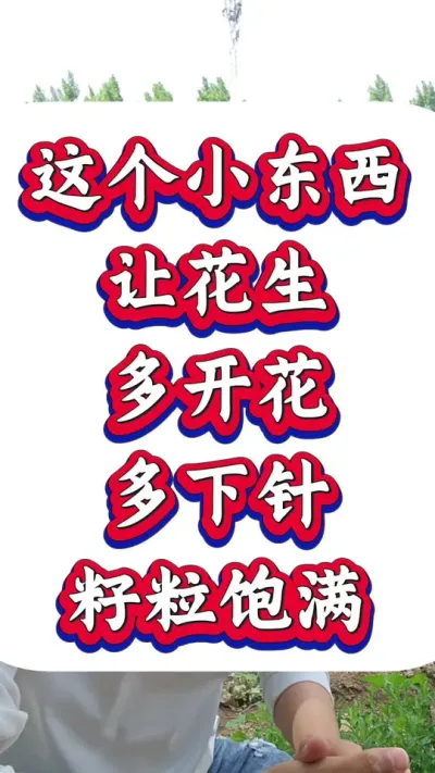 这个小东西让花生多开花，多下针，籽粒饱满，亩产轻松破千斤。#花生种植 #花生高产 #种花生 #花生种植管理技术 #花生高产种植