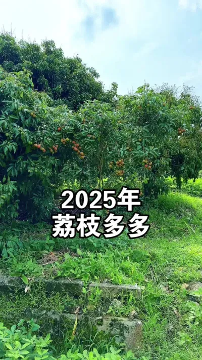 2025ζ֦Ҳ #֦ #ζ֦ #֦ݪֲ