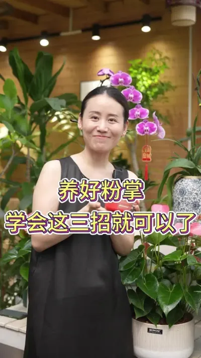 养好粉掌学会三招就可以了#粉掌怎么养 #粉掌养护 #养花小知识 #养花人的乐趣 #花卉绿植养护技巧