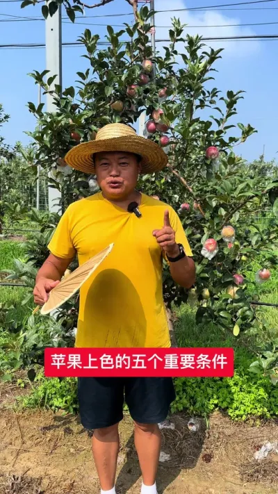 #ũ2025 #溦 #ũ # #޼
