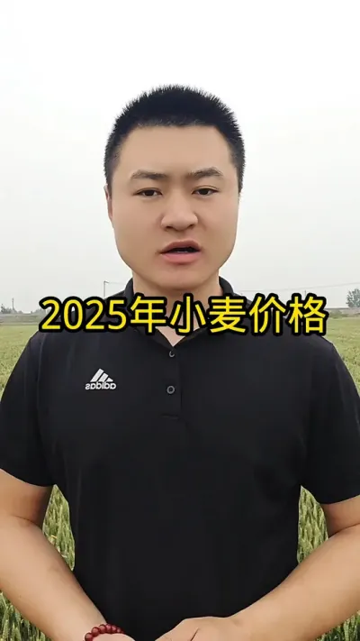#抖音助农 #病虫害防治 #农业种植 #三农 #小麦价格