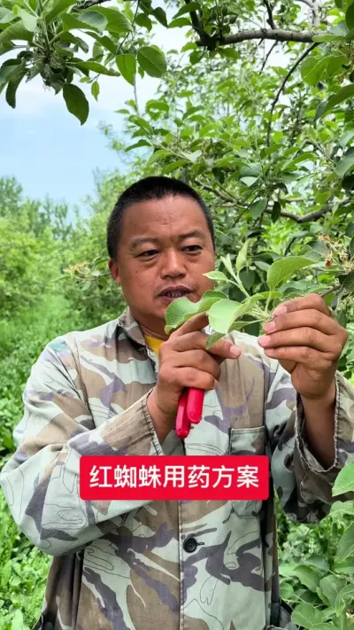 #新农人计划2025 #果树管理 #果树种植 #农业技术推广 #病虫害防治